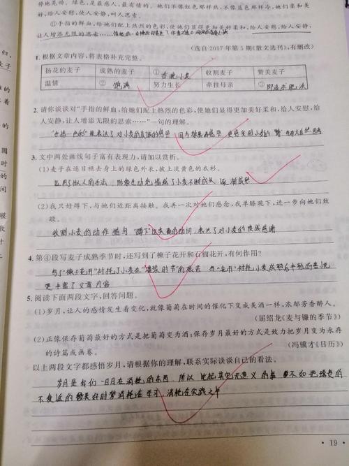 阅读后的六年级摘录类型