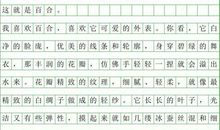 百合花作文500字