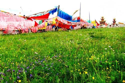 一个不能错过的印象