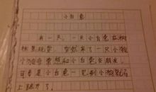 过生日作文300字