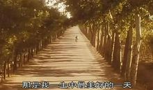 阳光灿烂的日子观后感