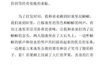 快乐的中秋节作文350字