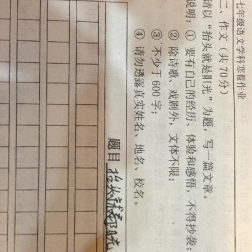 农历新年主题作文