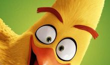 电影愤怒的小鸟经典台词