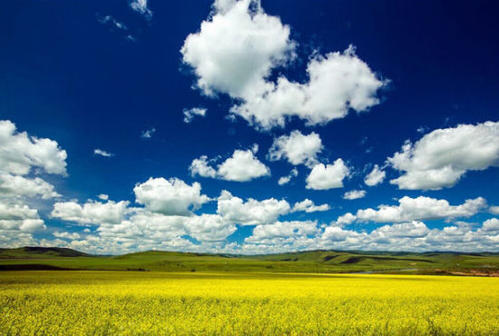 关于额尔古纳河右岸的思考