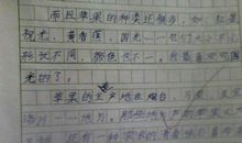 上学路上作文400字