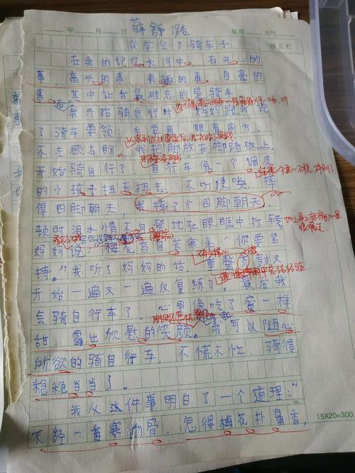 我学过三年级的作文