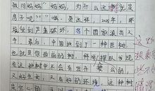 写过年的作文400字