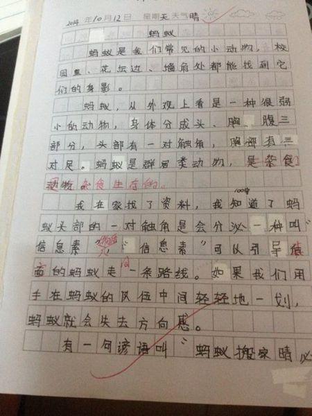 中学生100个单词