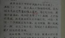 我学会了炒菜的作文