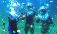 海洋公园的作文