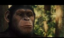 猩球崛起观后感