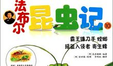 昆虫记螳螂读后感