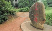 小平小道观后感