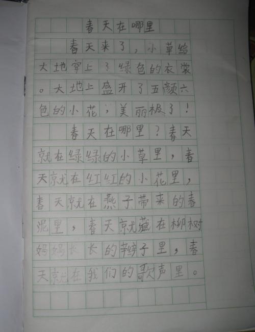 美丽的春天组成