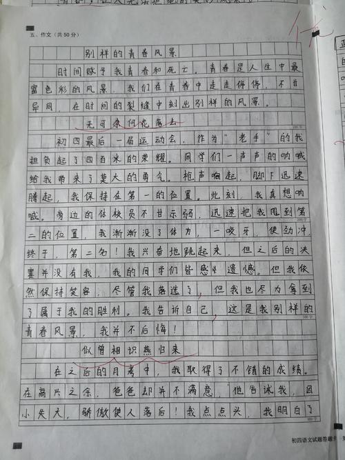 2018山东潍坊高中入学考试全场作文:不同的青年风光(5)