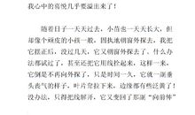 没有阳光的日子作文