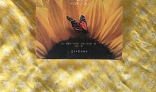 吸引力法则读后感