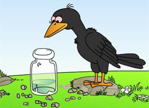 乌鸦看完后喝水
