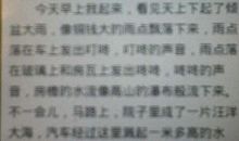 关于雨的作文250字