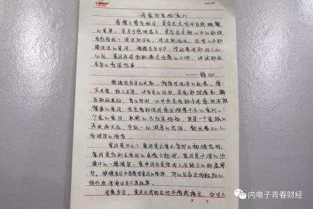 以规则为主题的撰写