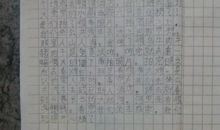 元旦节作文200字