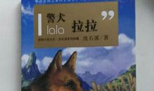 《警犬拉拉》读后感