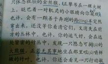 品味爱的细节作文