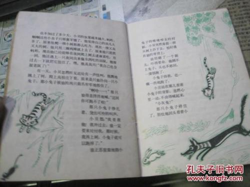 小贝的流浪笔记