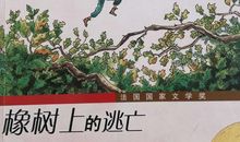 橡树上的逃亡读后感