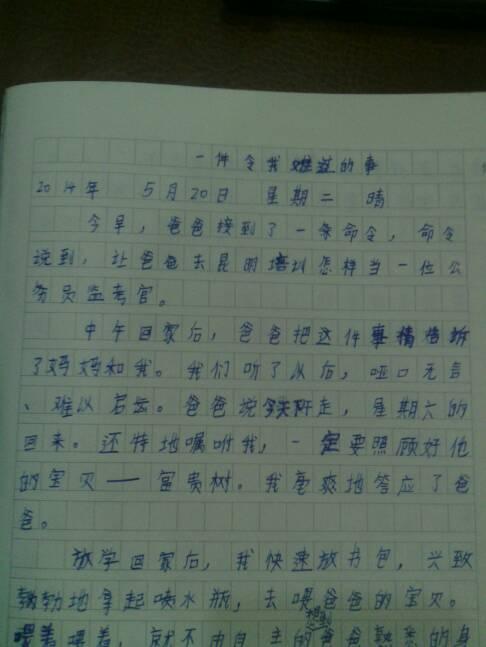 一个遗憾的小学作文