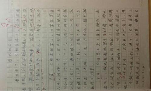 美丽的公园构图500字