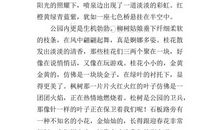 美丽的公园作文