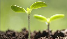 一流员工要有6种能力