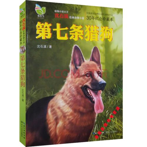 沉世熙的经典语录