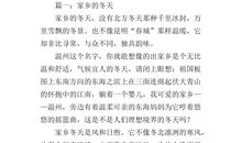 美丽的冬天作文600字