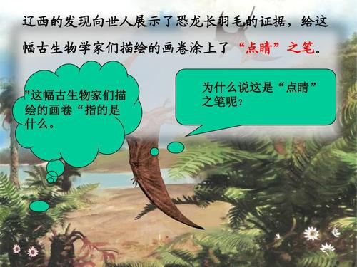 看完恐龙飞向天空