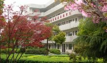 春天的校园350字