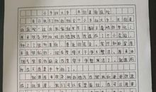 小手拉大手征文