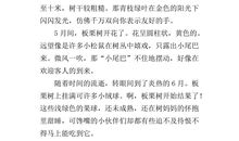 家乡的特产说明文