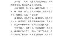 初中作文读后感600字