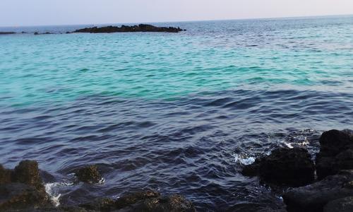 美丽的大海组成