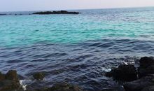 美丽的大海作文