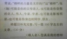 以榜样为话题的作文