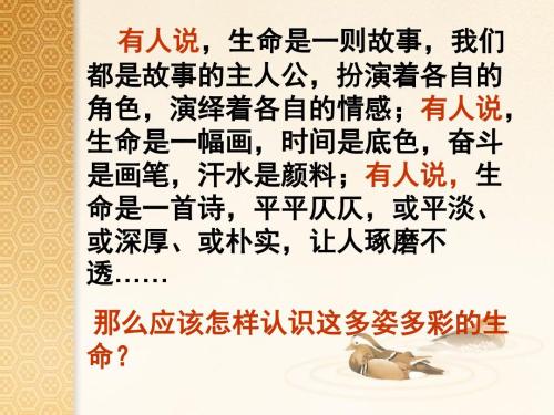 关爱生命的构图