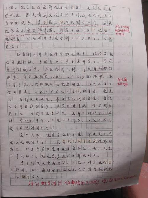 故乡专业作文100字