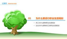 职业规划：用规划照出前进的方向，用实践为理想插上翅膀