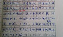 美丽的冬天作文100字