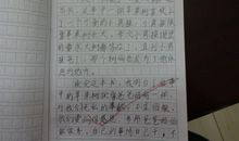 做最有爱心的人读后感