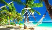 斐济的阳光读后感